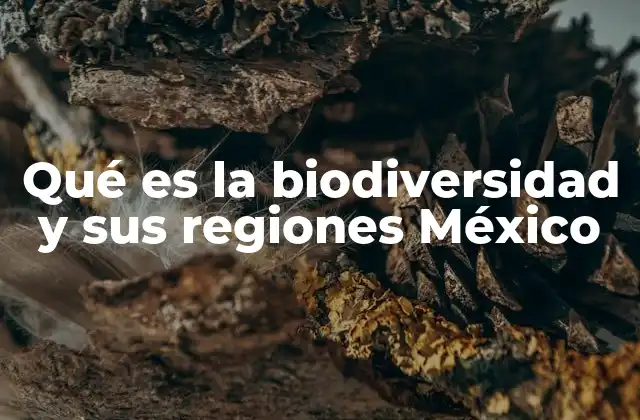 Qué es la Biodiversidad y Sus Regiones México