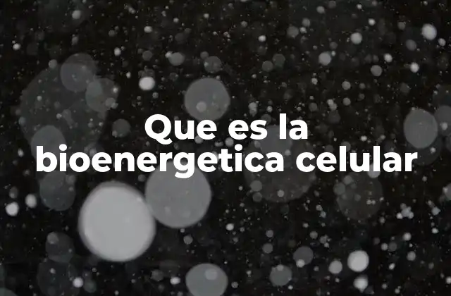 Que es la Bioenergetica Celular 2 Cómo las células obtienen energía sin mencionar directamente el término
