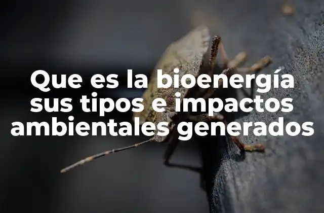 Que es la Bioenergía Sus Tipos e Impactos Ambientales Generados