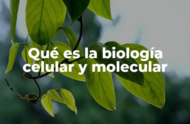 Qué es la Biología Celular y Molecular