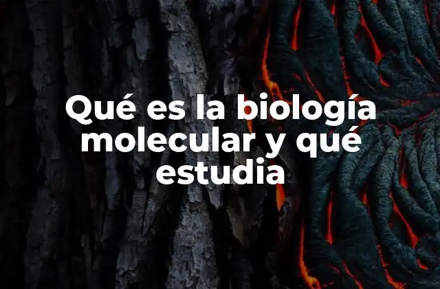 Qué es la Biología Molecular y Qué Estudia 2 El papel de la biología molecular en la comprensión de la vida