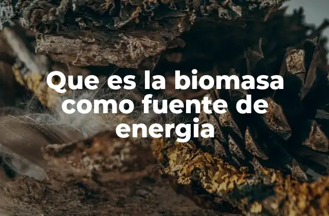 Que es la Biomasa como Fuente de Energia