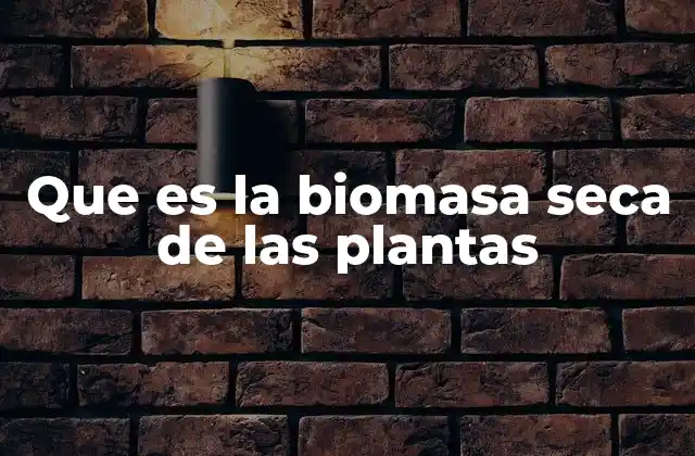 Que es la Biomasa Seca de las Plantas