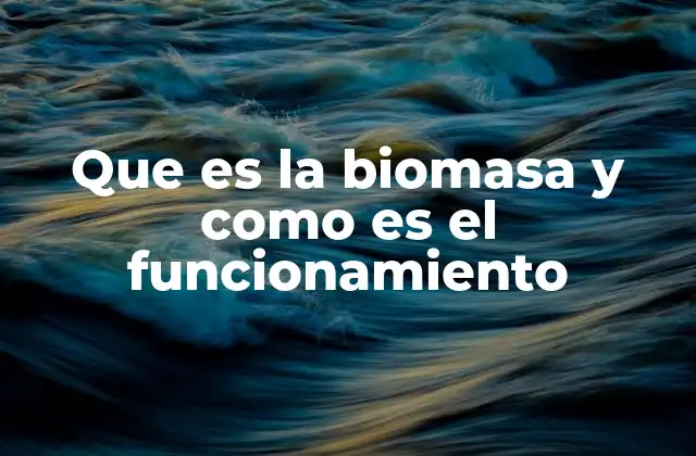 Que es la Biomasa y como es el Funcionamiento