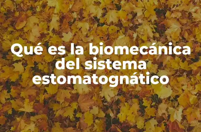 Qué es la Biomecánica Del Sistema Estomatognático