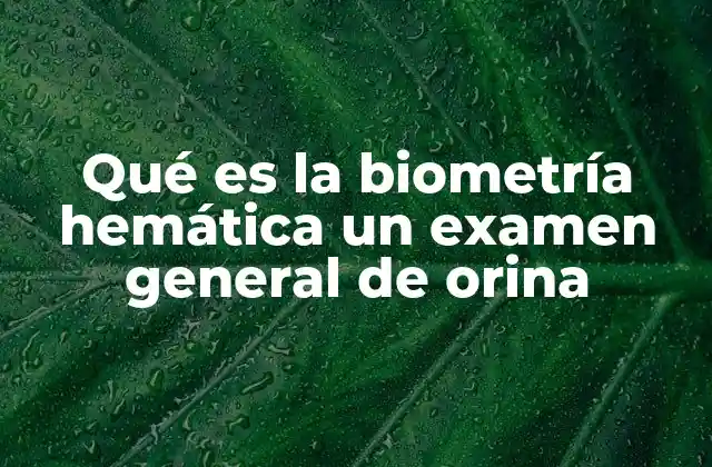 Qué es la Biometría Hemática un Examen General de Orina 2 Cómo se prepara para estos exámenes y qué se espera durante el proceso