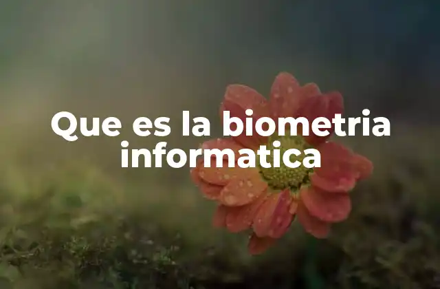 Que es la Biometria Informatica 2 El papel de la biometría en la seguridad digital