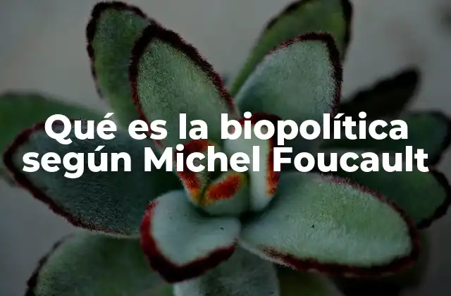 Qué es la Biopolítica según Michel Foucault