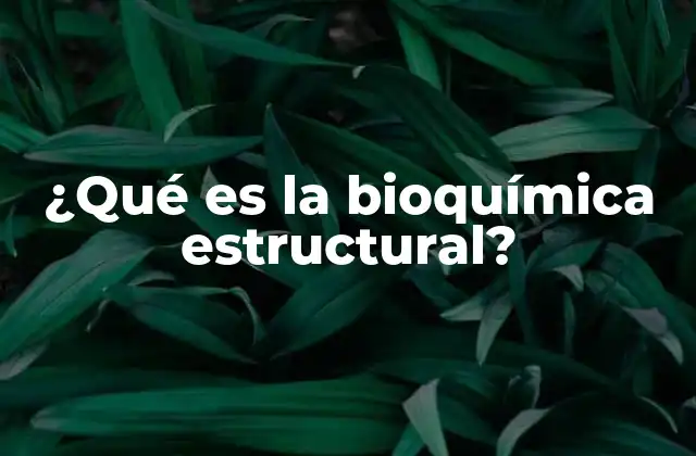 ¿qué es la Bioquímica Estructural?