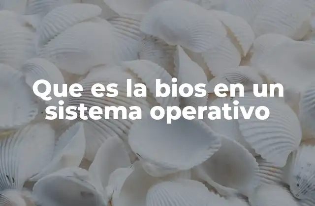 Que es la Bios en un Sistema Operativo