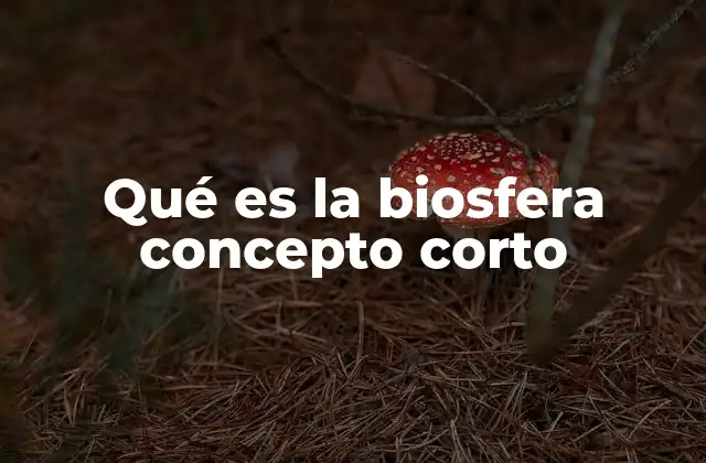 Qué es la Biosfera Concepto Corto