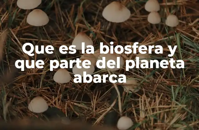 Que es la Biosfera y que Parte Del Planeta Abarca
