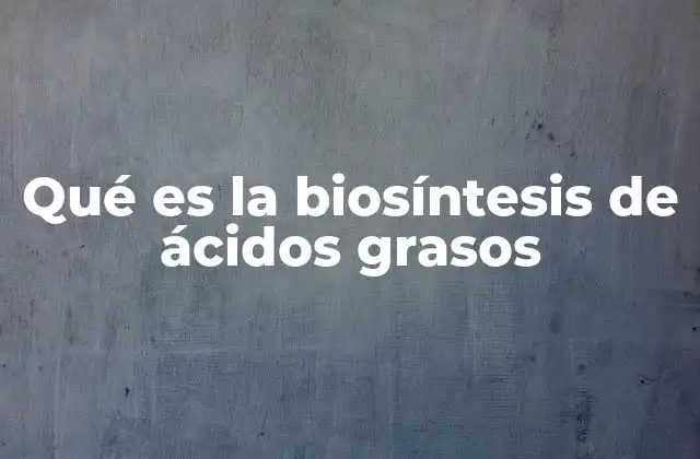Qué es la Biosíntesis de Ácidos Grasos
