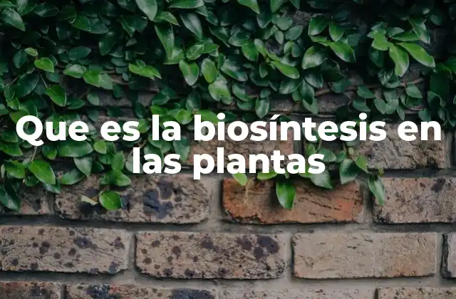 Que es la Biosíntesis en las Plantas