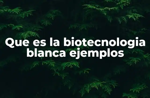 Que es la Biotecnologia Blanca Ejemplos