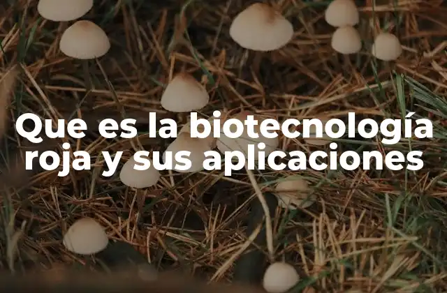 Que es la Biotecnología Roja y Sus Aplicaciones