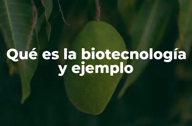 La biotecnología en la vida cotidiana