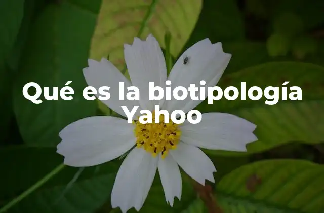Qué es la Biotipología Yahoo