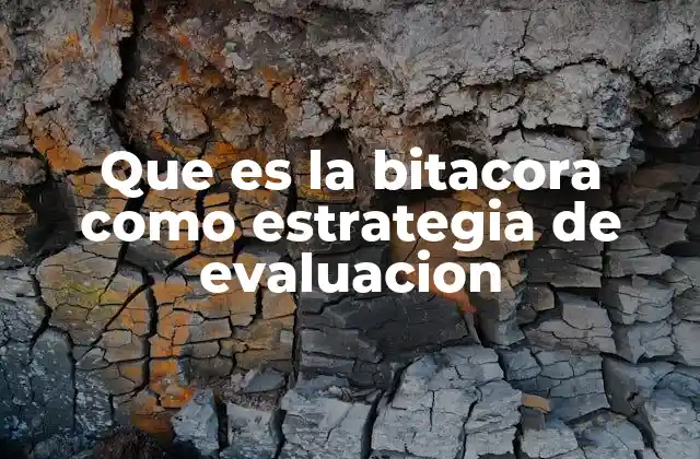 Que es la Bitacora como Estrategia de Evaluacion