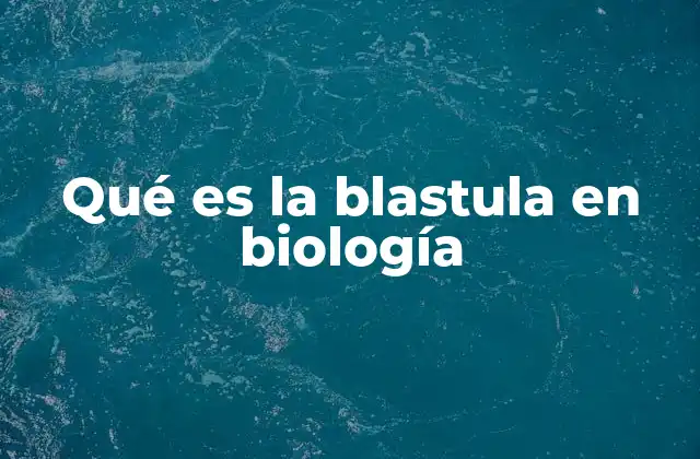 Qué es la Blastula en Biología