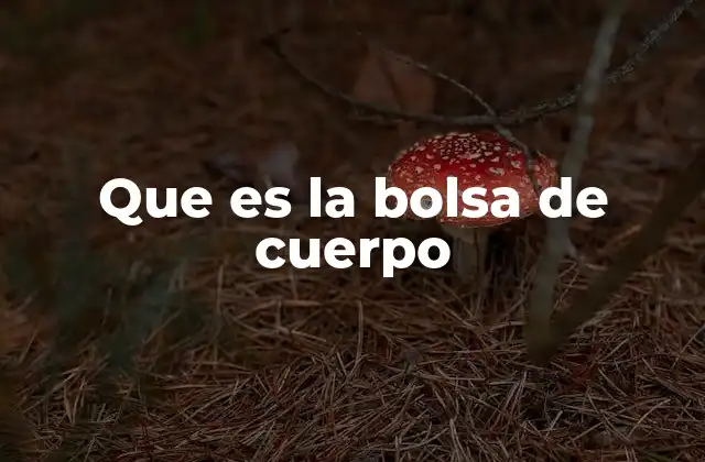 Que es la Bolsa de Cuerpo