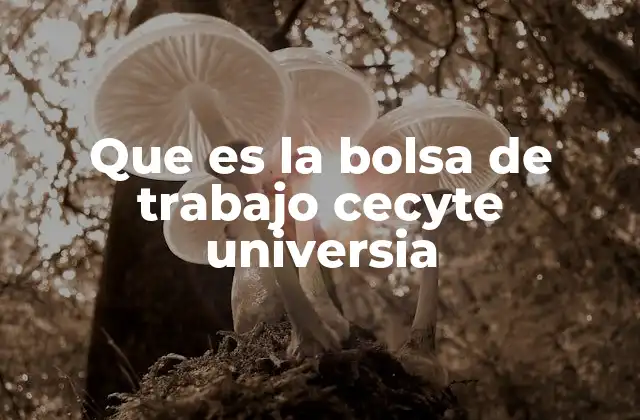 Que es la Bolsa de Trabajo Cecyte Universia