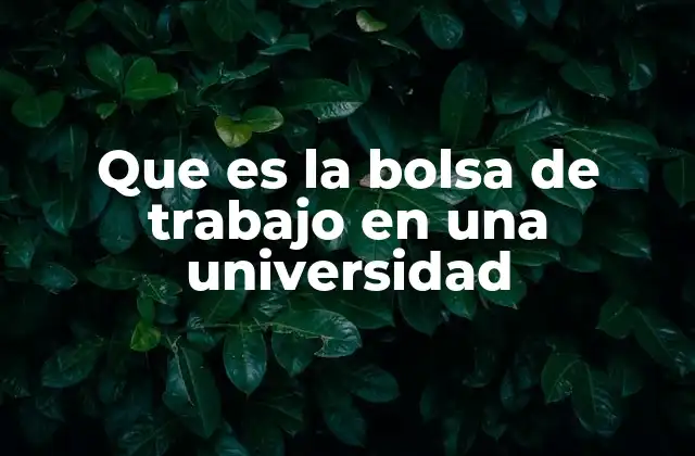 Que es la Bolsa de Trabajo en una Universidad