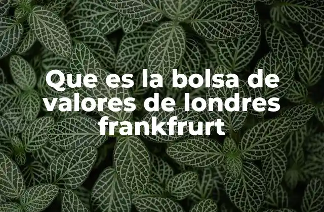 Que es la Bolsa de Valores de Londres Frankfrurt
