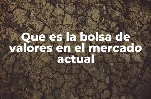 Que es la Bolsa de Valores en el Mercado Actual