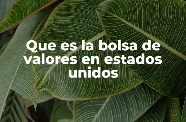 Que es la Bolsa de Valores en Estados Unidos 2 El papel de la bolsa en la economía estadounidense