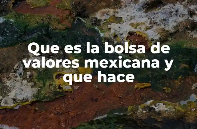 Que es la Bolsa de Valores Mexicana y que Hace 2 El papel económico y financiero de la bolsa de valores mexicana