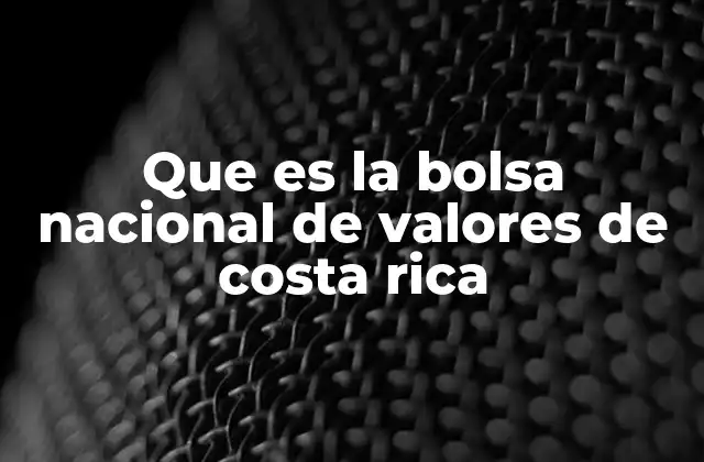 Que es la Bolsa Nacional de Valores de Costa Rica