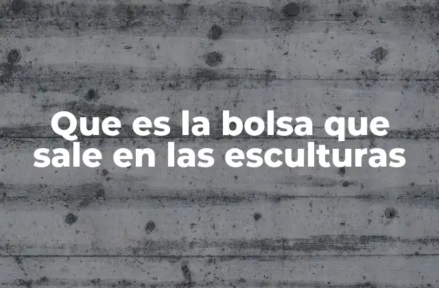 Que es la Bolsa que Sale en las Esculturas