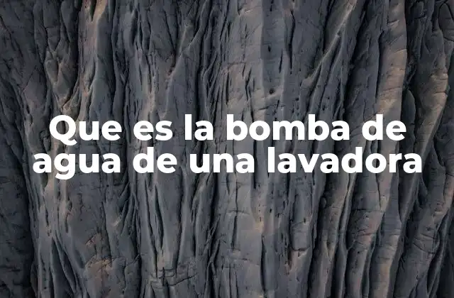 Que es la Bomba de Agua de una Lavadora 2 Funcionamiento interno de la bomba de desagüe en una lavadora