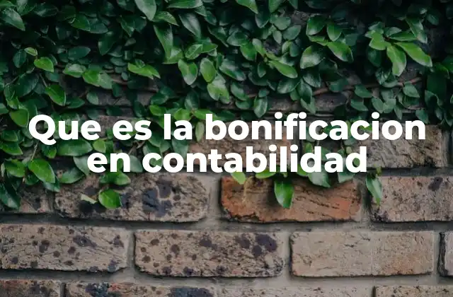 Que es la Bonificacion en Contabilidad