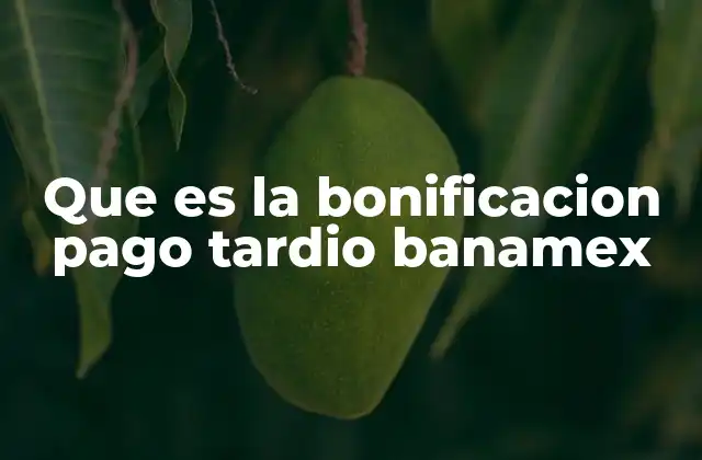 Cómo se aplica la bonificación por pago tardío