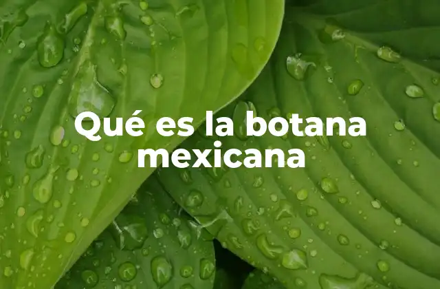 Qué es la Botana Mexicana
