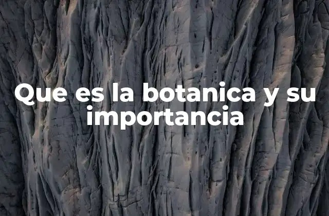 El papel de la botánica en la vida cotidiana