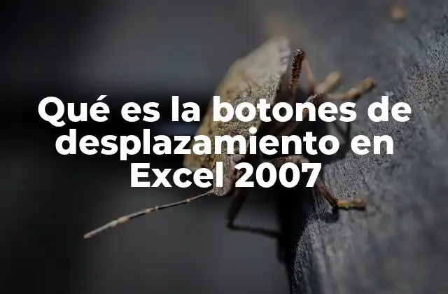 Qué es la Botones de Desplazamiento en Excel 2007