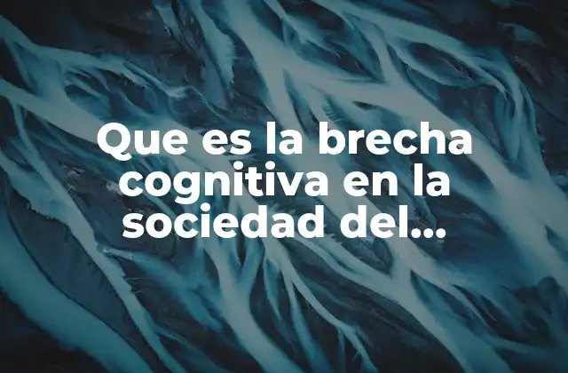 Que es la Brecha Cognitiva en la Sociedad Del Conocimiento