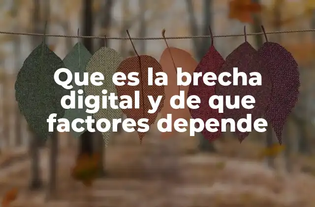 Que es la Brecha Digital y de que Factores Depende