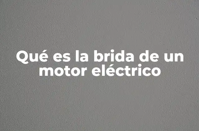 Qué es la Brida de un Motor Eléctrico