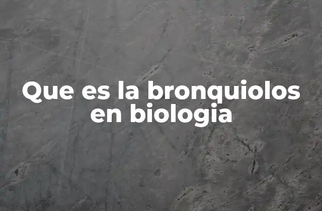 Que es la Bronquiolos en Biologia