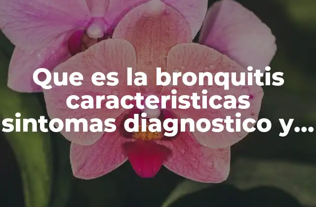 Que es la Bronquitis Caracteristicas Sintomas Diagnostico y Tratamiento