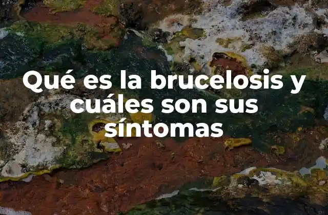 Qué es la Brucelosis y Cuáles Son Sus Síntomas