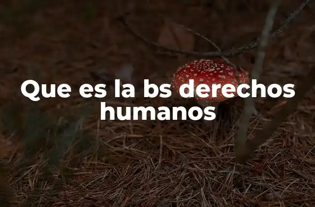 La importancia de estudiar los derechos humanos en el contexto moderno