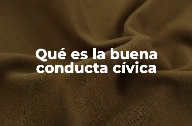 Qué es la Buena Conducta Cívica