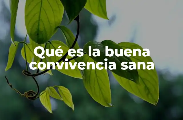 Qué es la Buena Convivencia Sana