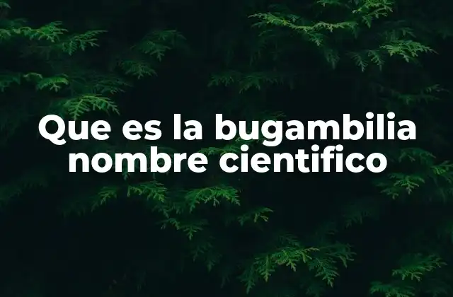 Que es la Bugambilia Nombre Cientifico
