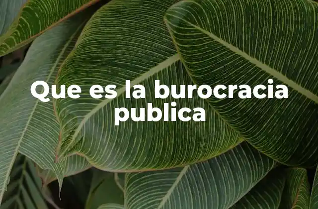 Que es la Burocracia Publica 2 El papel de la administración en la vida cotidiana